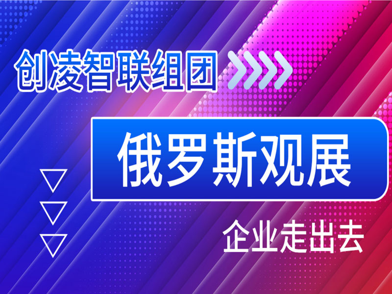 莫斯科第26屆國際電子展：一次獨特的觀展之旅？